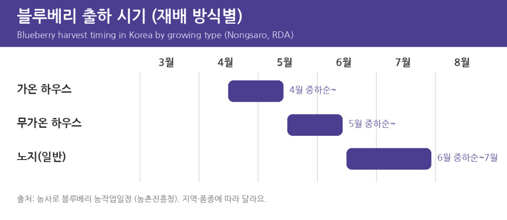 Blueberry harvest timing by growing type in Korea