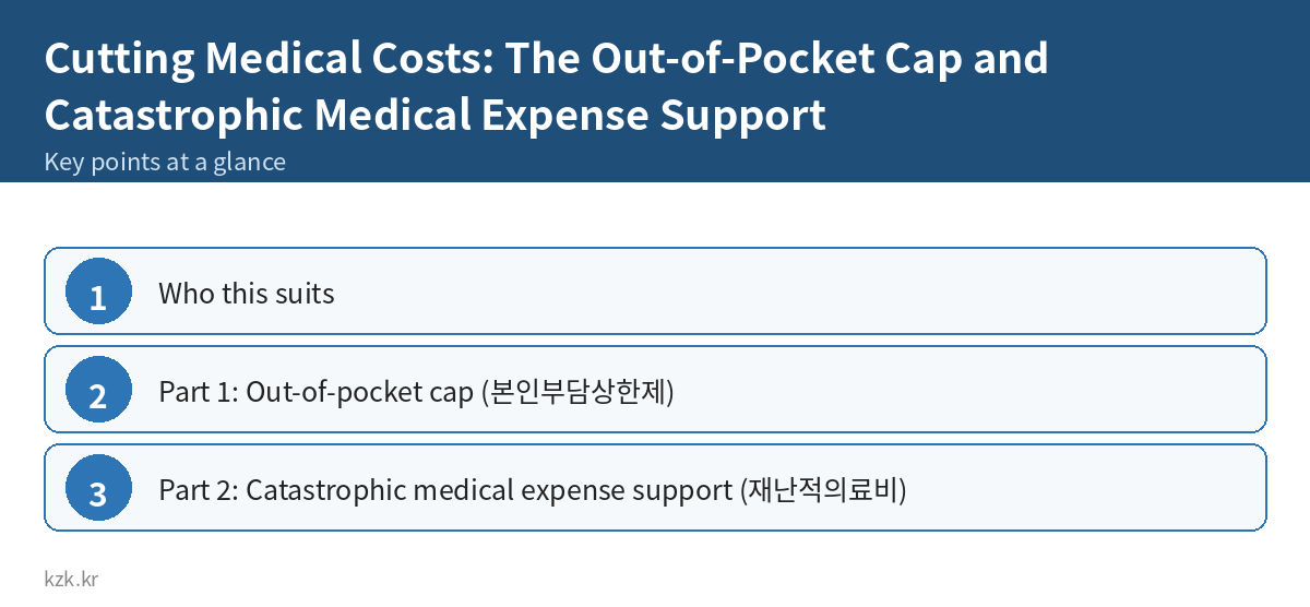 Cutting Medical Costs: The Out-of-Pocket Cap and Catastrophic Medical Expense Support: key points summary