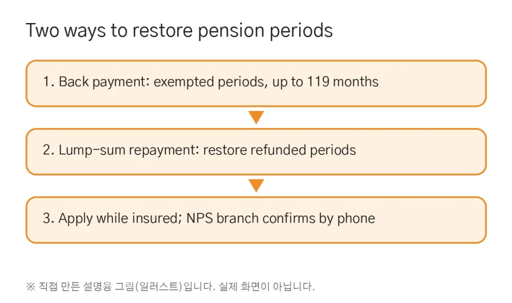 National Pension back payment and lump-sum repayment explained