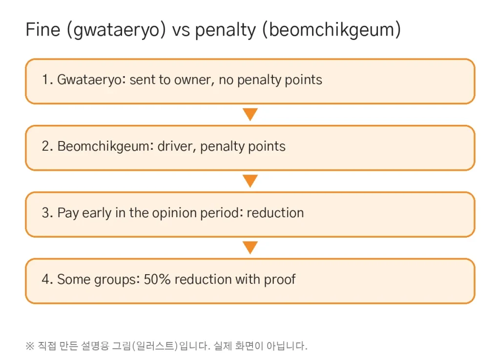 How to Check Korean Traffic Fines on e-Fine: Fine Types, 20% Early Payment Reduction