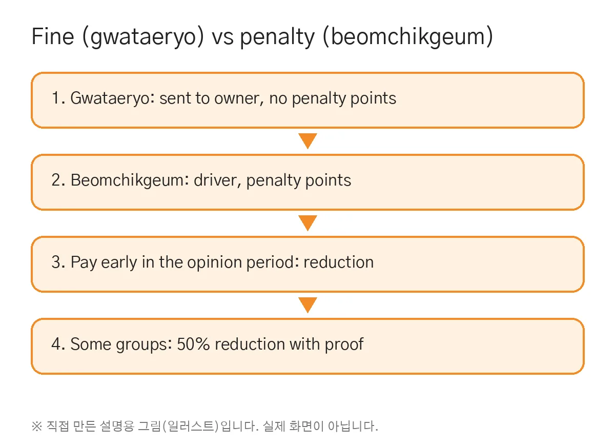 korea traffic fine check: fine types (self-made illustration)