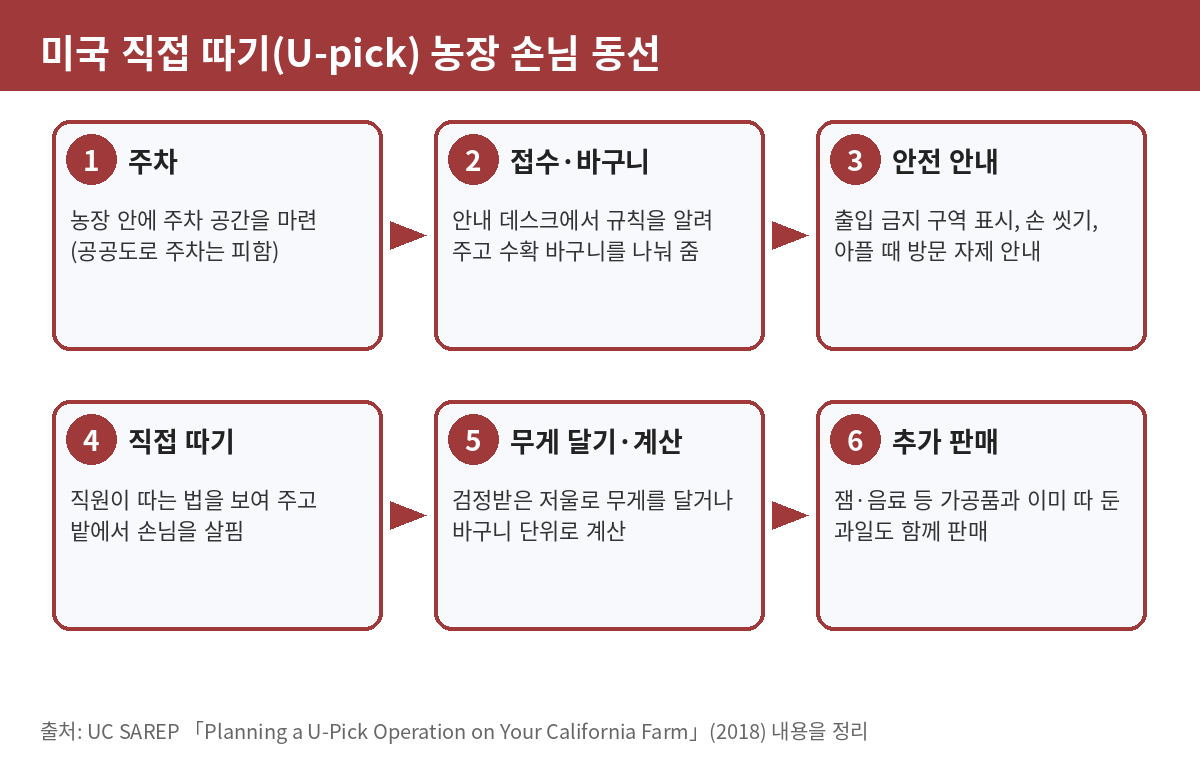 Overseas Case: How to Make Money with a U-Pick Farm in the USA